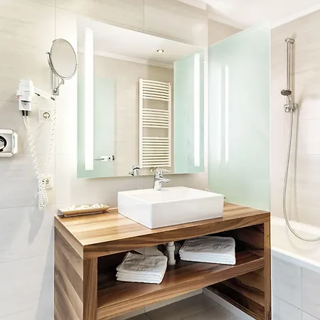 Grauer Baer Innsbruck