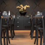 Grauer Baer 4*