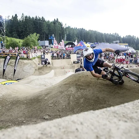 Grauer Baer Hotel Innsbruck
