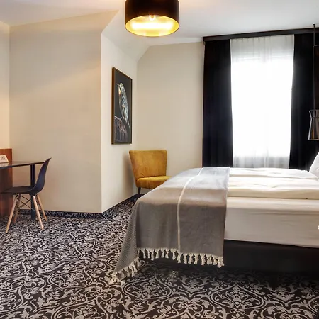 Grauer Baer 4*