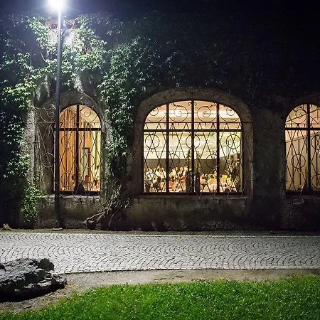 Grauer Baer Hotel 4*