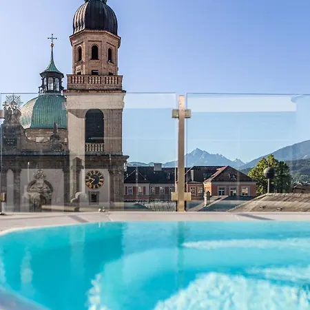 Grauer Baer Innsbruck