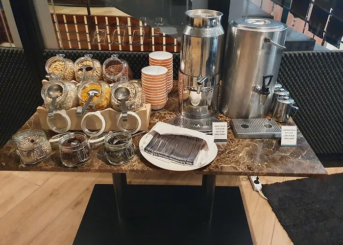 Grauer Baer Innsbruck