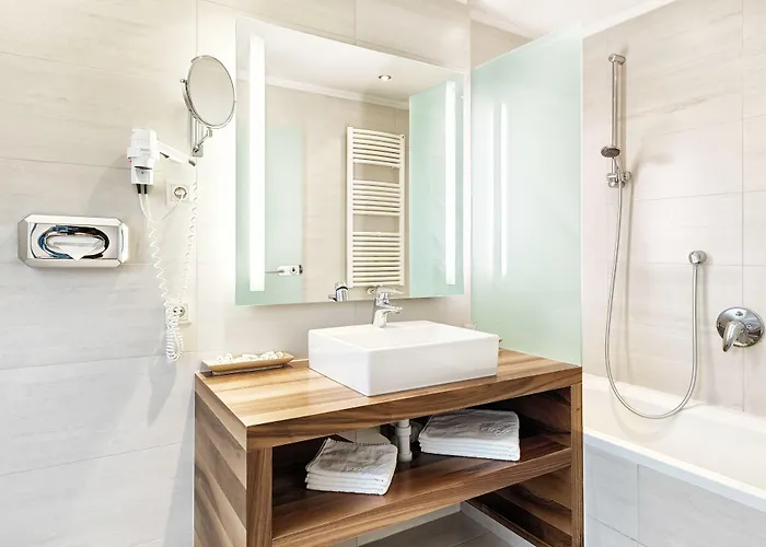 Grauer Baer Innsbruck