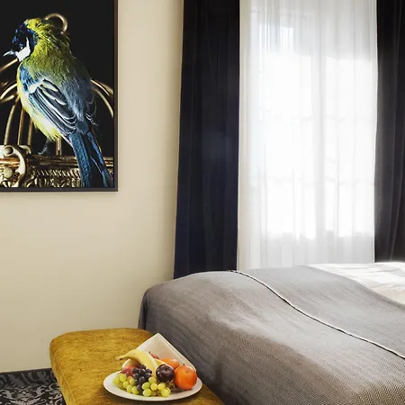 Grauer Baer Otel İnnsbruck