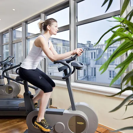 Grauer Baer İnnsbruck